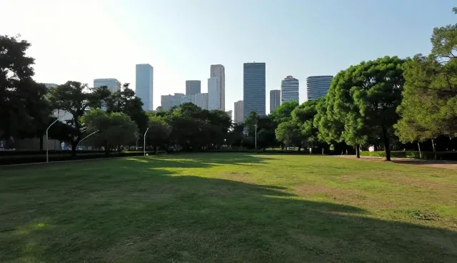 企业名录展示中如何立足本地?